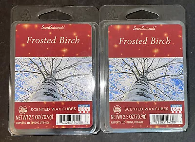 $11.39 • Buy ScentSationals FROSTED BIRCH Scented WAX CUBES / 2 Packs / 2.5 Oz Each