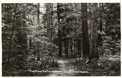 Postcard RPPC MI Grayling The Pines Hartwick Memorial Park Logging Camp Sign • $8.99