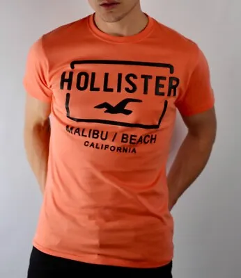 $29.99 • Buy Hollister Malibu Beach Crew Neck T-Shirt For Men Size - Small