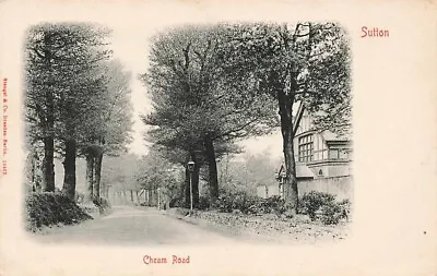 Early  SUTTON  Cheam Road  Surrey  Postcard • £3
