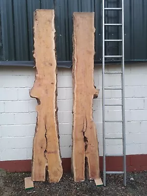 2 Yew Wood Planks. Book Matched Pair Air Dried. From Local Welsh Tree. • £450