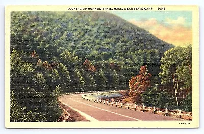 Postcard Looking Up Mohawk Trail Massachusetts Near State Camp • $4.04