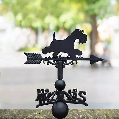 Cast Iron & Steel Running Miniature Schnauzer Weathervane • £99