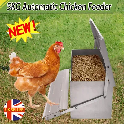 5KG Chicken Chook Feeder Automatic Treadle Poultry Self Opening Ratproof Outdoor • £23.50