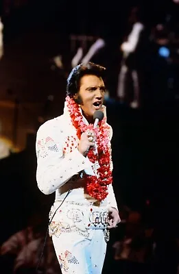 Elvis Presley In Live Concert 8x10 PHOTO PRINT • $7.98