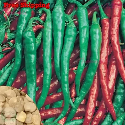 Cayenne Long Slim Red Pepper Long Thin Red Hot Pepper Seeds | NON-GMO • $12