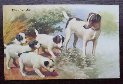 Artist Drawn Old Postcard Dog Jack Russell ?  & Puppies The First Dip 1947 • £5.99