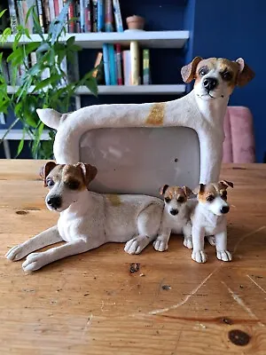 Brown/White Jack Russell Dog Photo Frame - Fits 6x4 Photo • £18