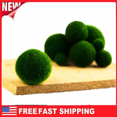 10pcs  1cm Marimo Moss Ball Cladophora Live Aquarium Plant Fish Aquarium Decor- • $7.99