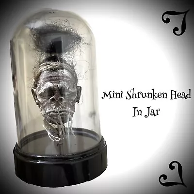 Shrunken Head In Jar Sideshow Gaff: Handcrafted Oddity Art • $34.99