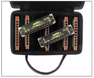 EASTTOP Diatonic Harmonica Set 10 Hole Harp Diatonic Mouth Organ Harmonica Lot • $19.99