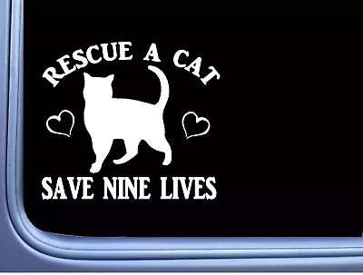 Cat Rescue Decal OS 306 6  Sticker Kitten Nine Lives • $4.24