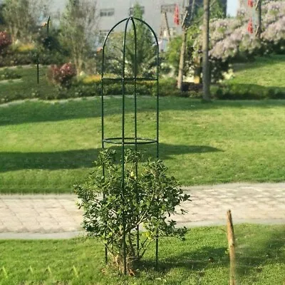 £10.99 • Buy Garden Obelisk Outdoor Rose Tree Climbing Plant Frame Stand Support Arch Trellis