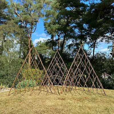 £34.99 • Buy Willow Garden Obelisk 1.2m Expanding Pyramid Plant Support Trellis (Pack Of 3)