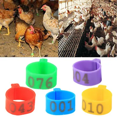 £5.52 • Buy 100X 16mm Clip On Leg Band Rings For Chickens Ducks Hens Poultry Large Fowl UR