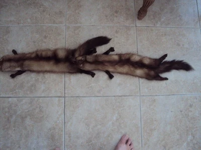 $49 • Buy 2 Marten Biting Tails Vintage Genuine Natural Fur Wrap Stole