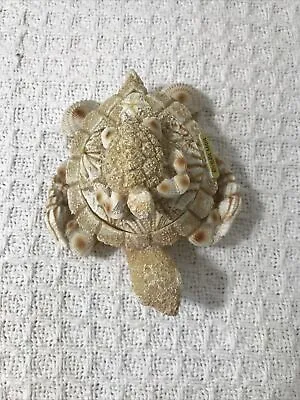 Sea Turtle With Baby Sand Seashell Lift Off Lid Trinket Box Riviera Maya • $22