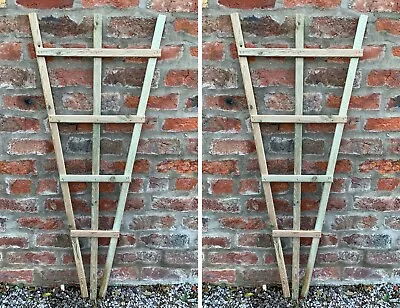 Wooden Fan Wall Trellis Climbing Plant Support Frame Trellises Treated Wood 2Pcs • £26.99