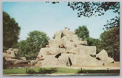 Animal~Detroit Michigan~Zoological Park~Aoudads~Vintage Postcard • $1.35