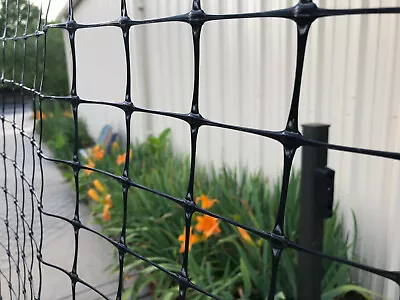 STRONG Garden Plant Climbing Net Trellis Netting Support Fruits Vine Veggie Bean • $43.99