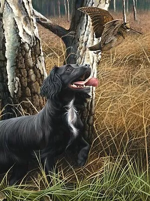 £119 • Buy Nigel Hemming COCKER THE WOODS Springer Spaniels, Art Canine Ltd Edition  #1