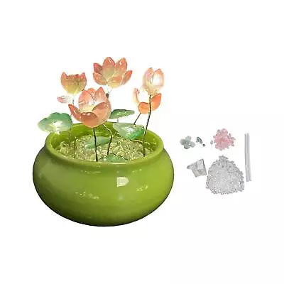 DIY Lotus Night Light Material Package Tabletop Lamp Art Decorative Mini Stone • $46.94