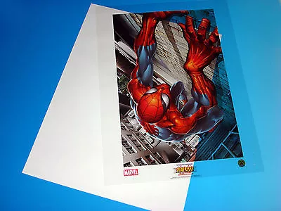 Ultimate Spider-Man Lithograph Joe Quesada Acetate Art Marvel Comics Universe • $29.95