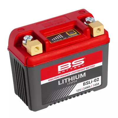 Lithium LiFePO4 Battery • $99.95