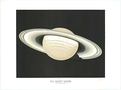 1881 Illustration Of The Planet Saturn Antique Astronomy Art Poster Print • $30