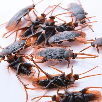 25 X Fake Plastic Cockroaches Rubber Halloween  • £3.50