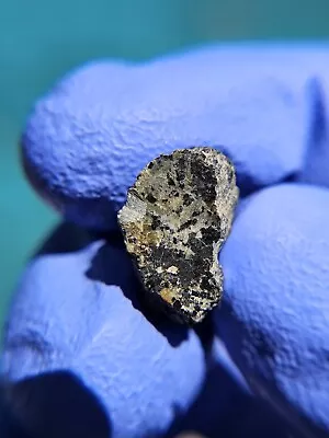 Meteorite**NWA 13366 Martian Peridotitic Sherg.**2.153 Gram Gorgeous Endcut!!! • $419.99