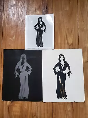 Rare Vintage Elvira Mistress Of The Dark Knotts Scary Farm Photo & Lithograph • $250