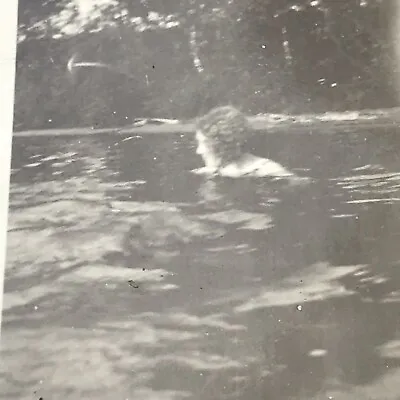 Vintage Black And White Photo Woman Swimming Pool Swim Water  • $6.69