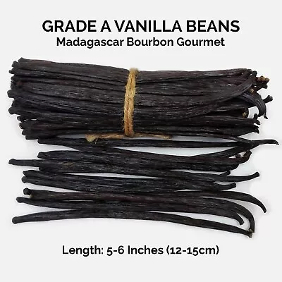 10 Fresh Madagascar Grade A Organic Bourbon Gourmet Vanilla Beans (5-6 ) • $14.99