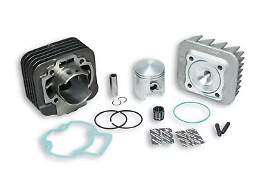 Malossi Big Bore Kit For Vespa ET2 316926 • $169.97