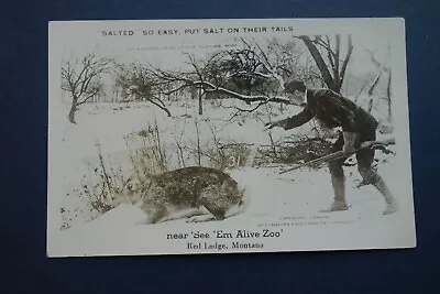 Red Lodge MT Zoo Advertising Reprint Martin Exaggeration Rabbit Hunter Toronto • $6