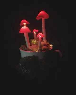 Vintage  Mushroom Tea Cup Lamp • $55