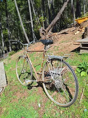 Vintage 1971 Raleigh  Men's 26” Super Tourer • $100