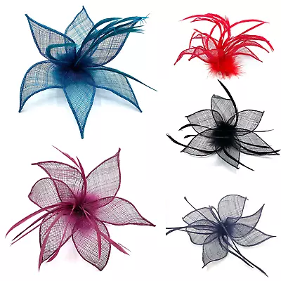 Ladies Feather Beak Clip Fascinator Weddings Races Royal Ascot Hair Clip • £6.75