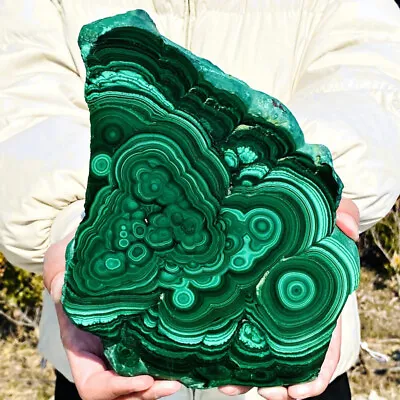 3.29LB Natural Malachite Slice Quartz Crystal Luster Mineral Specimen • $0.99