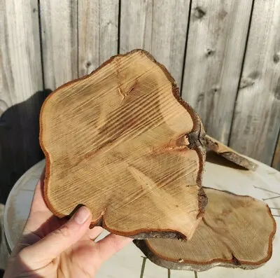 £4.01 • Buy Wooden Slices 1-23CM Wood Log Discs Round Wedding Rustic  Crafts Coasters ECO