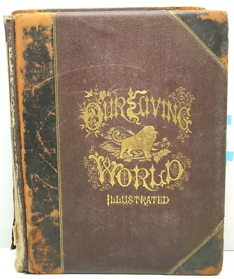 Amazing Prints! Original 1885 Selmar Hess Vol.1  Our Living World  New York NY   • $135.20