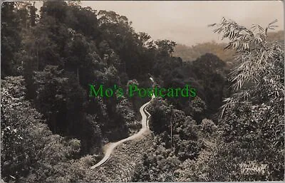 Two Malaysia Postcards - Malaya Hot Springs Rambutan & Perak RS33634 • $17.04