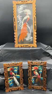 3 Vintage Bird Painting With Real Feathers Made In Mexico Carved Frame Folk Art • $28.99
