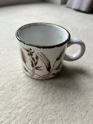 Wedgwood Midwinter Stonehenge Wild Oats 3  8cm Tea Cup • £3