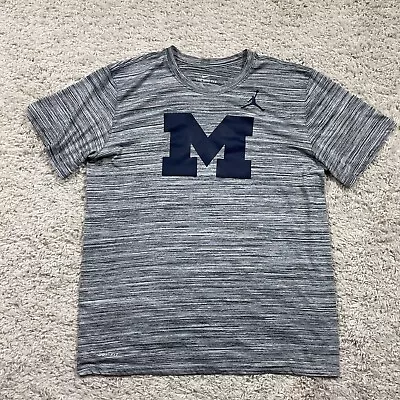 Michigan Wolverines Shirt Men Large Gray Air Jordan Dri Fit Performance Football • $19.99