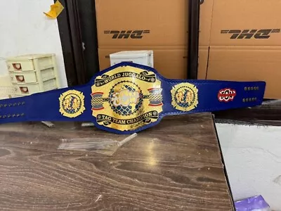 World Juggalo Tag Team Championship  Title Belt - Adult Size 2mm Brass • $135