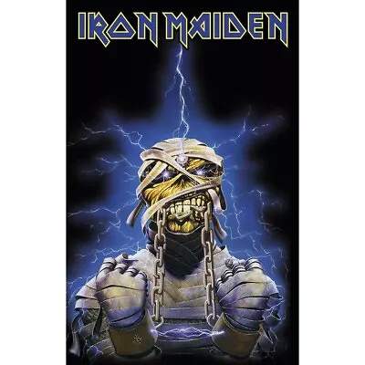 Iron Maiden 'Powerslave Eddie' Printed Flag - NEW OFFICIAL Textile Poster • $21.99