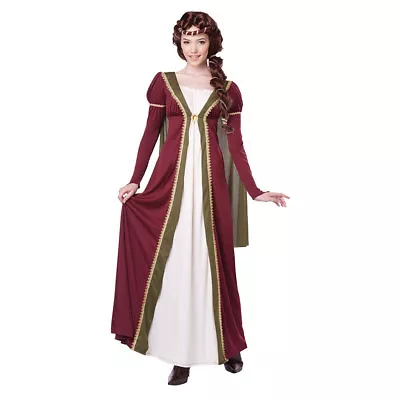 Womens Medieval Maiden Halloween Costume • $26.97