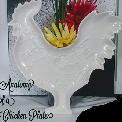 Farmhouse Anatomy Of A Chicken/Rooster Plate Cream New Tabletops Gallery Kitchen • $19.80